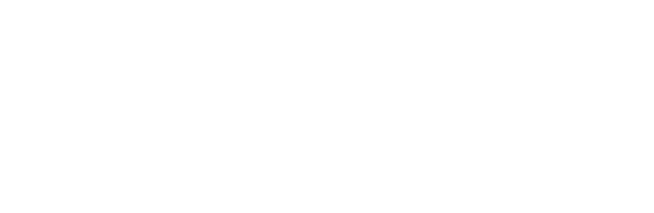 Network Ajans